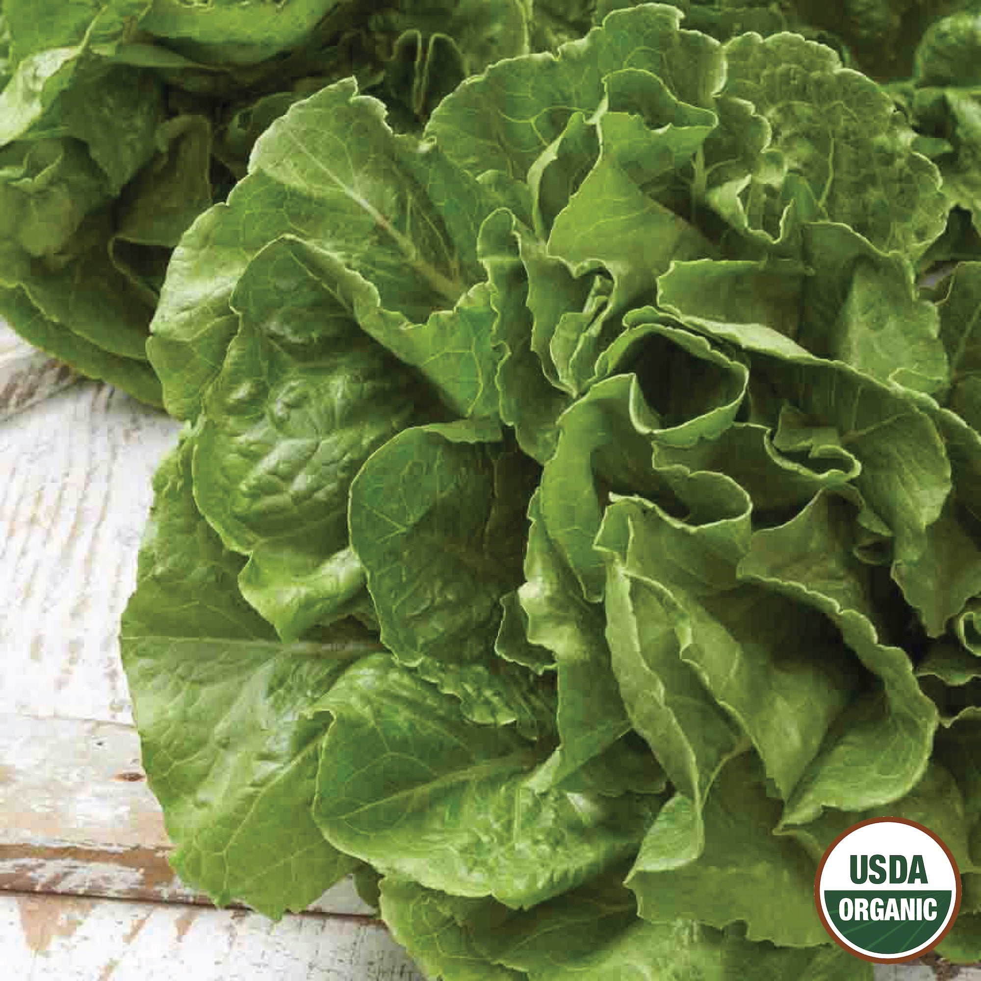 Close-up of fresh green Buttercrunch Lettuce leaves with a USDA Organic label in the bottom right corner.